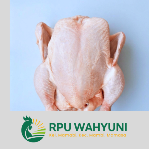 Daging Ayam Segar - RPU Wahyuni
